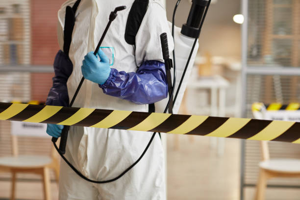 Professional Sewage Cleanup technician working in Linwood, NJ